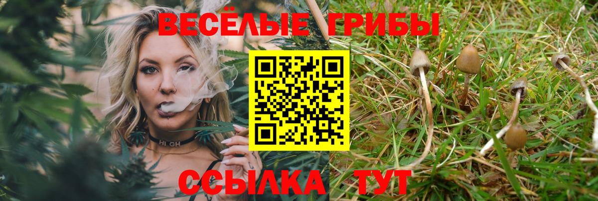 Галлюциногенные грибы ЛСД  Вход с VPN  Звенигород 